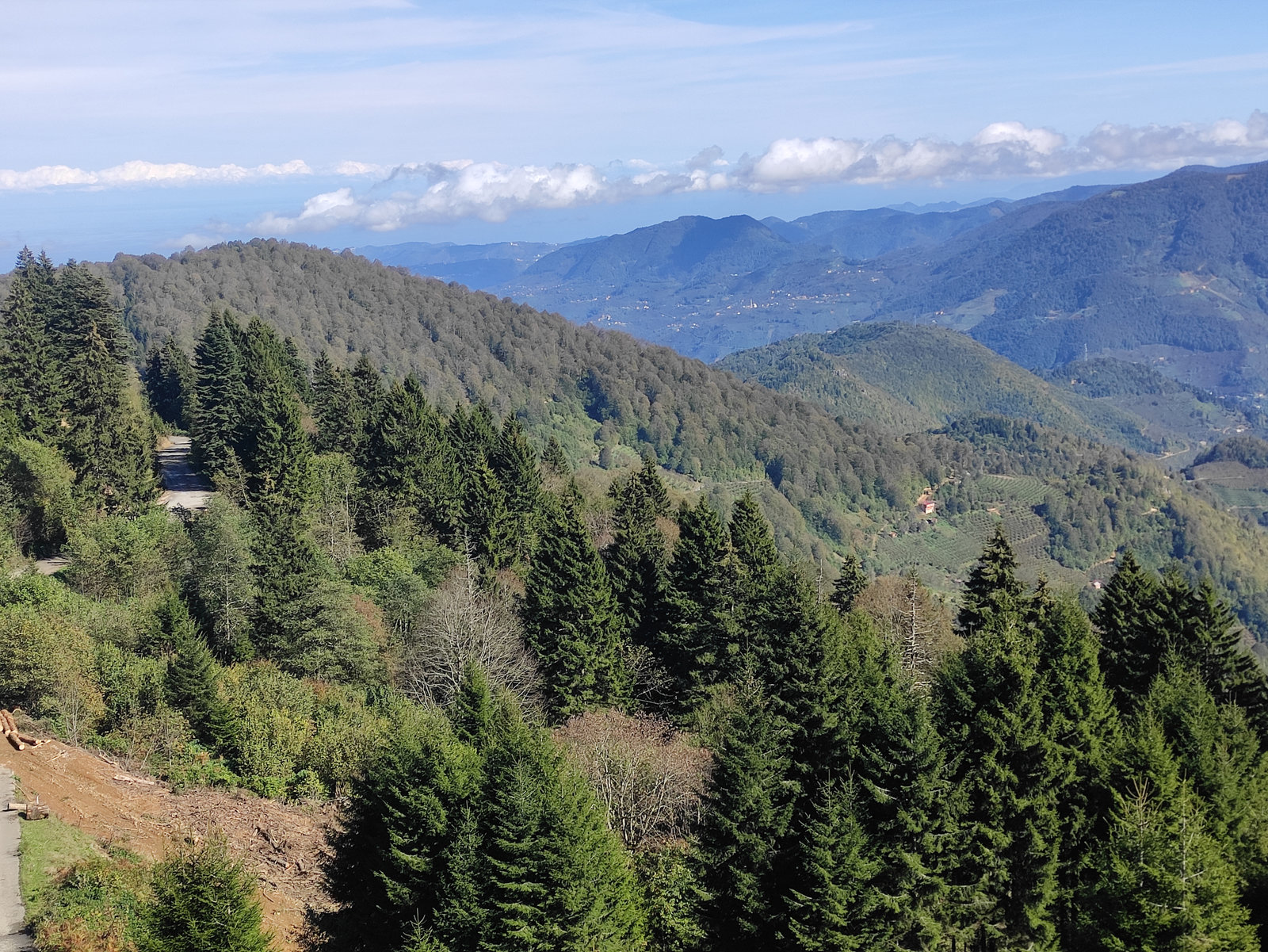 Yedimeşe Tabiat Parkı-1_result.jpg