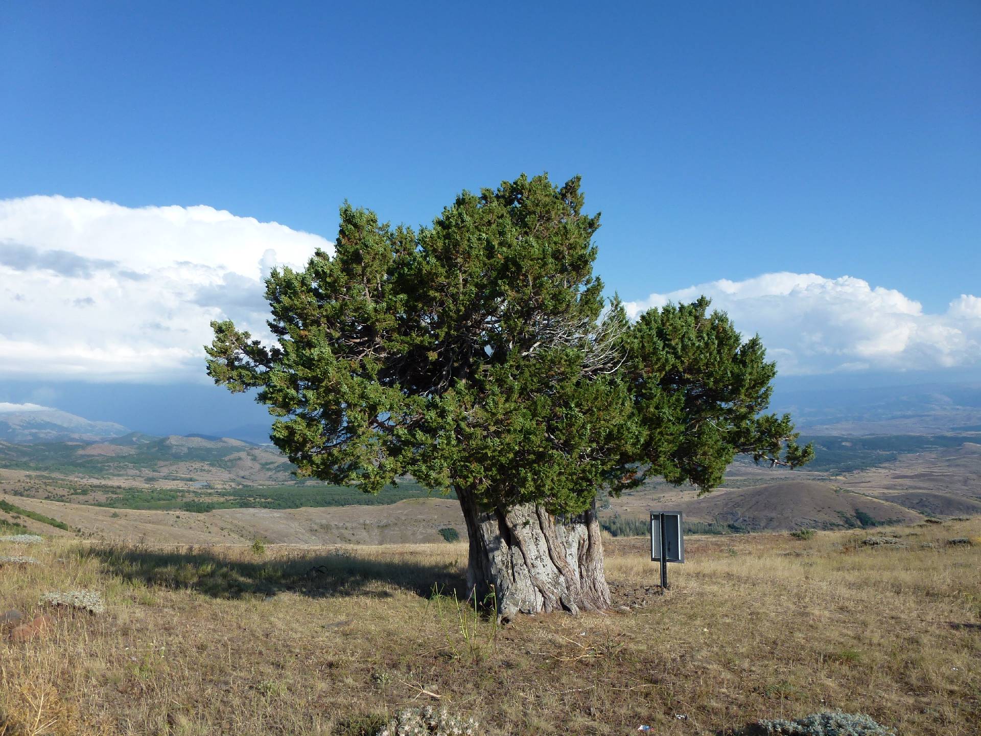 2026 YILI ULUSAL STAJ PROGRAMI BAŞVURUSU